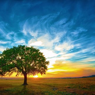 ΥΠΗΡΕΣΙΕΣ ΗΛΕΚΤΡΟΝΙΚΩΝ ΕΠΙΚΟΙΝΩΝΙΩΝ